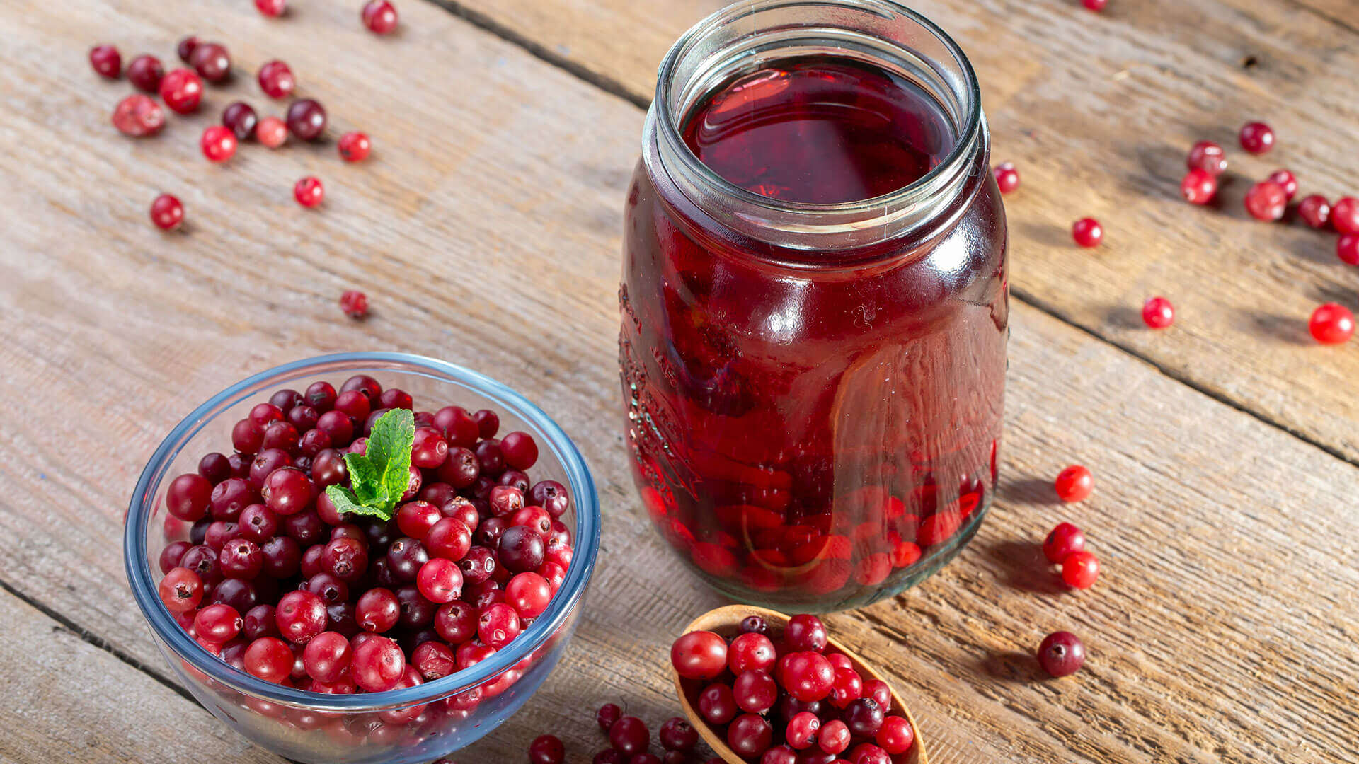 Cranberries – Alles Was Du über Die Cranberry Wissen Solltest!