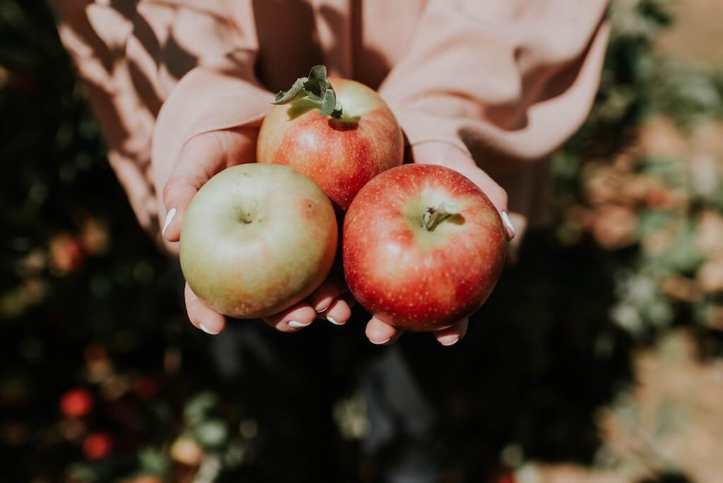 Äpfel frisches Obst