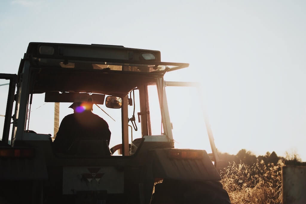 nachhaltigere Ernährung durch biologische Landwirtschaft